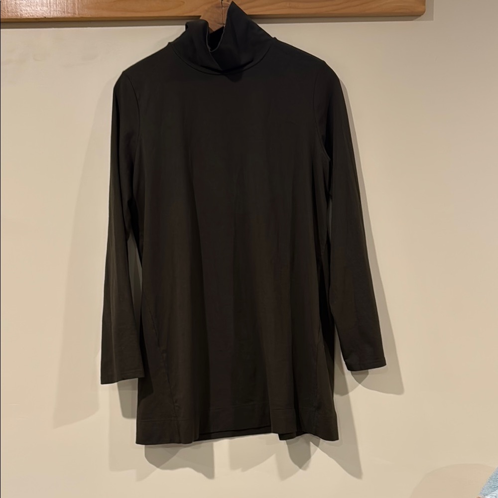 J. Jill Hunter Green  long Sleeve Tunic Top